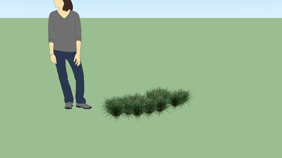 BARBA DE SERPENTE - ANA REYES