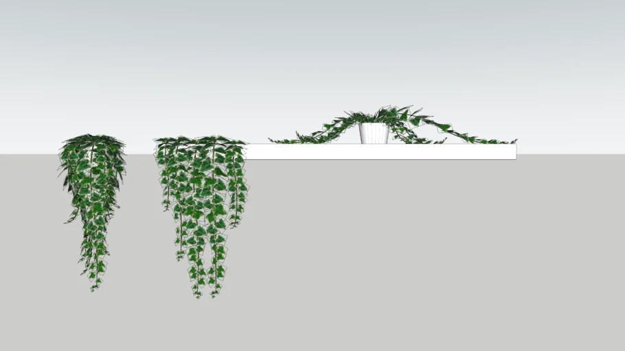 3d Ivy v-ray