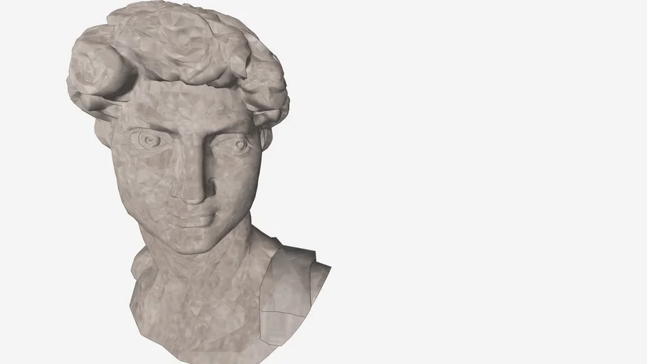 大衛石膏像   David plaster statue
