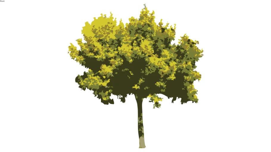 2D Tree Deciduous 1