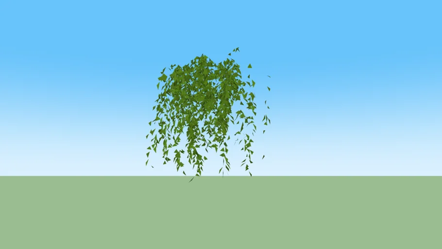 hanging plant