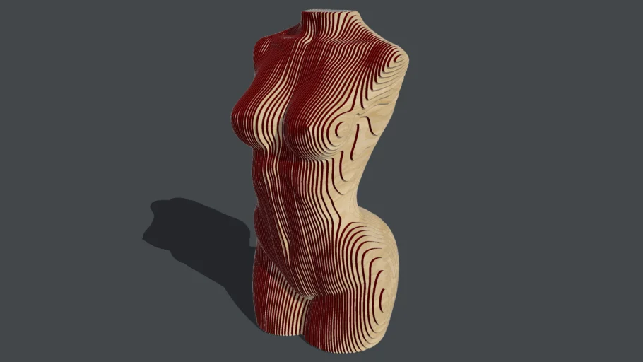 Sliced Woman Torso