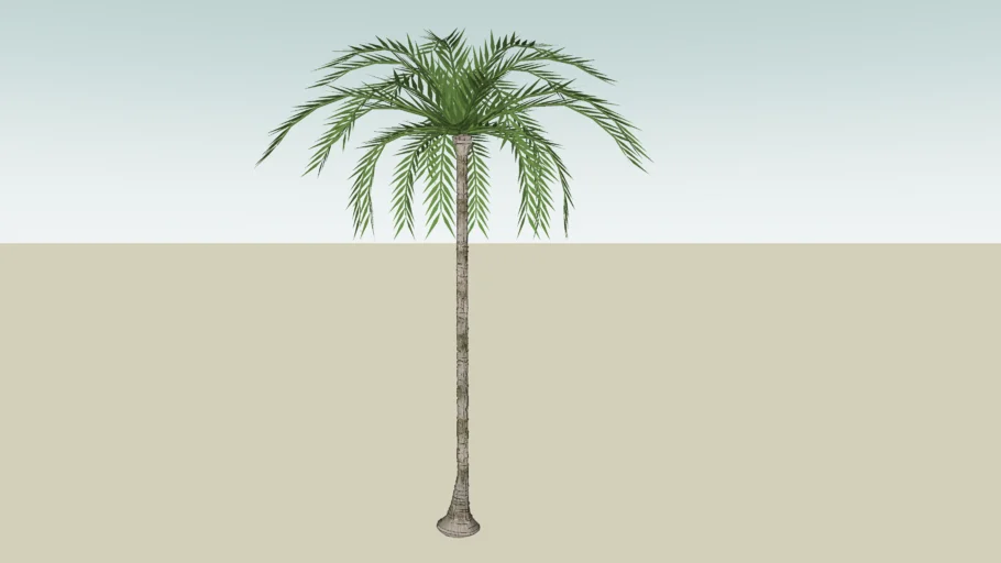 Palmeira