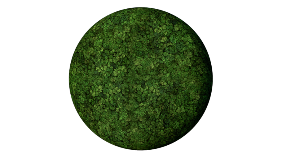 Convex Circle Large