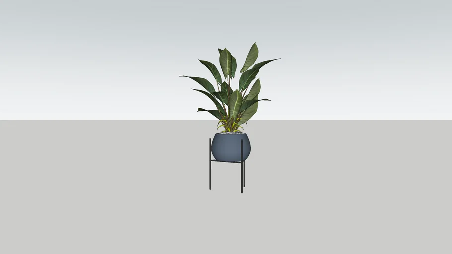 Indoor plant on stand