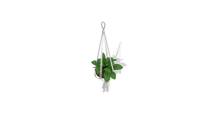 hanging pot