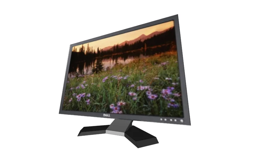 Dell E248WFP 24" Flat Panel Monitor
