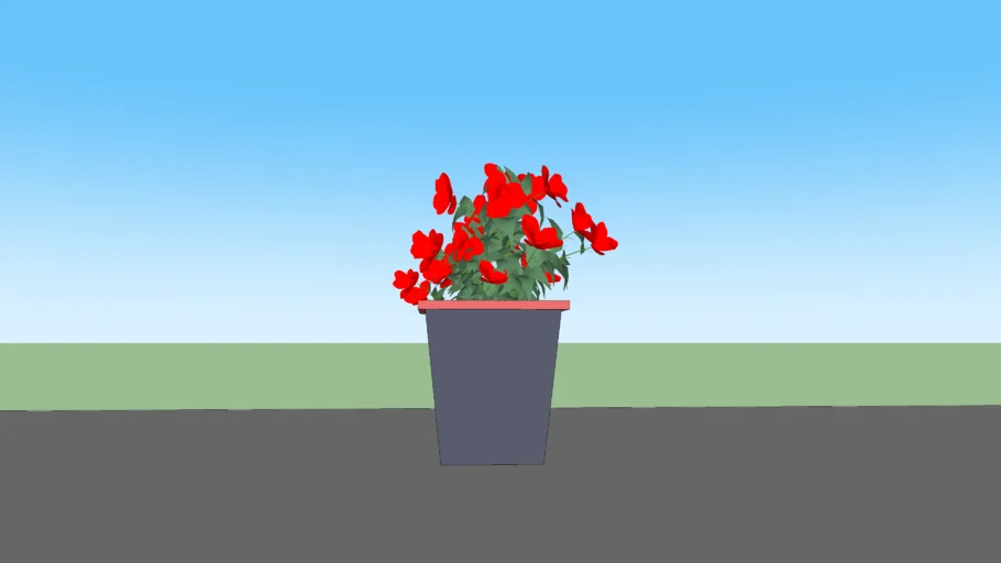 FLOWER POT