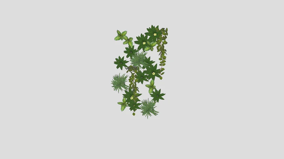 Plantas para jardim vertical