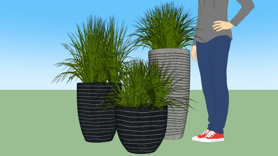 plants