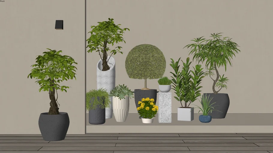 Interior Plant 6