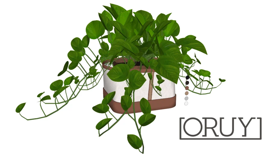 cesto cachepot Biancheria planta plant folhagem couro decor decoração