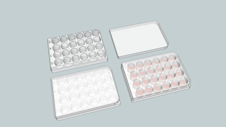 24 well plate for cell culture work