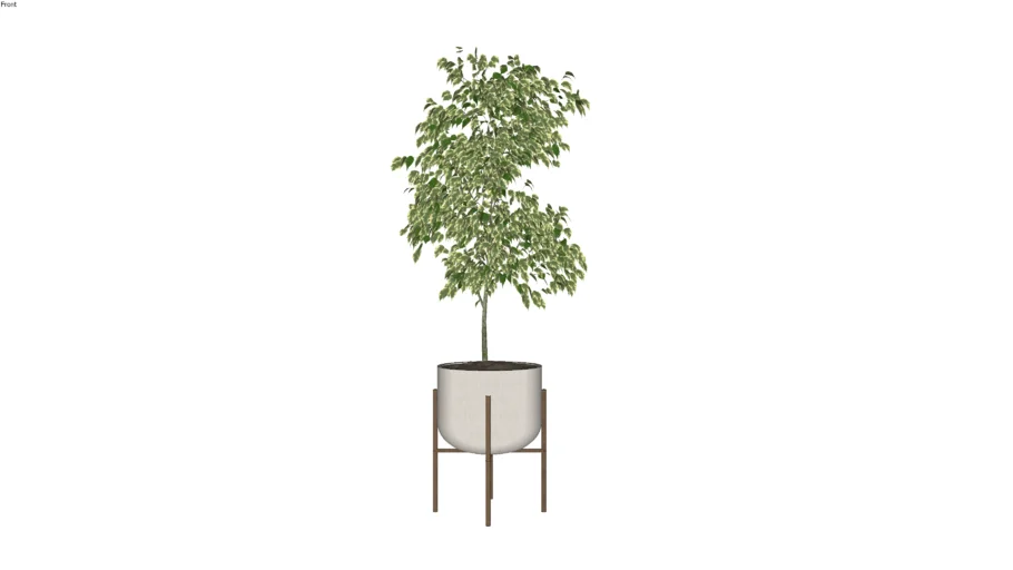 Tree in Pot on a Stand
