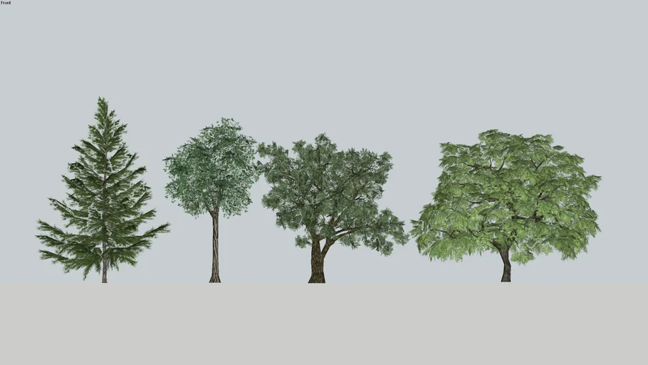 Tree D