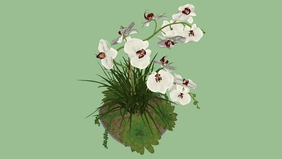 vaso com planta
