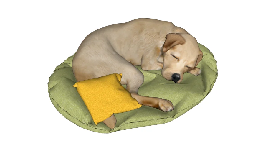DOG, PERRO, CANINO.