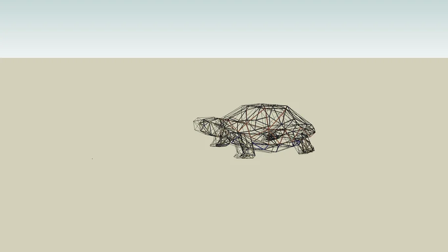 Turtle wireframe