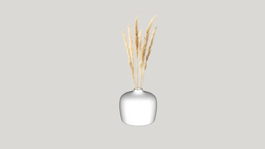 Potted Tan Pampas Grass