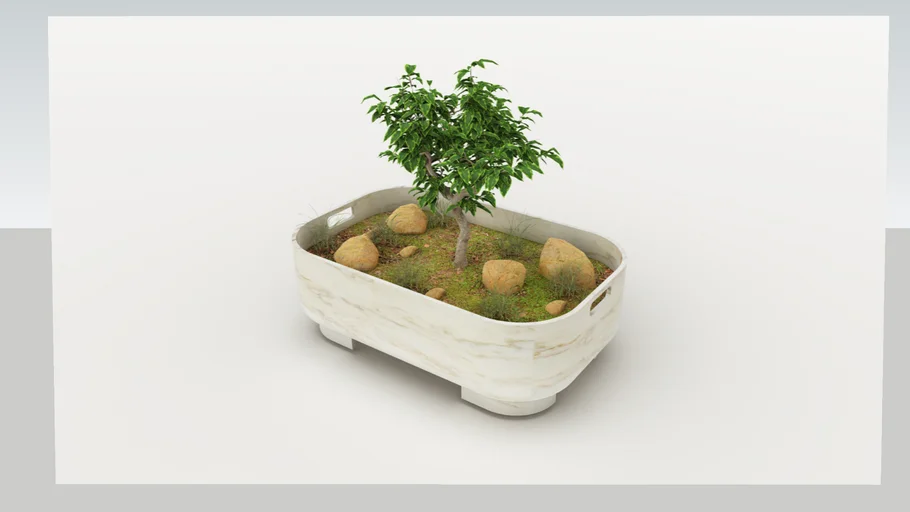 planter pot