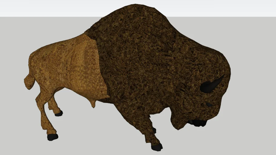 American Bison