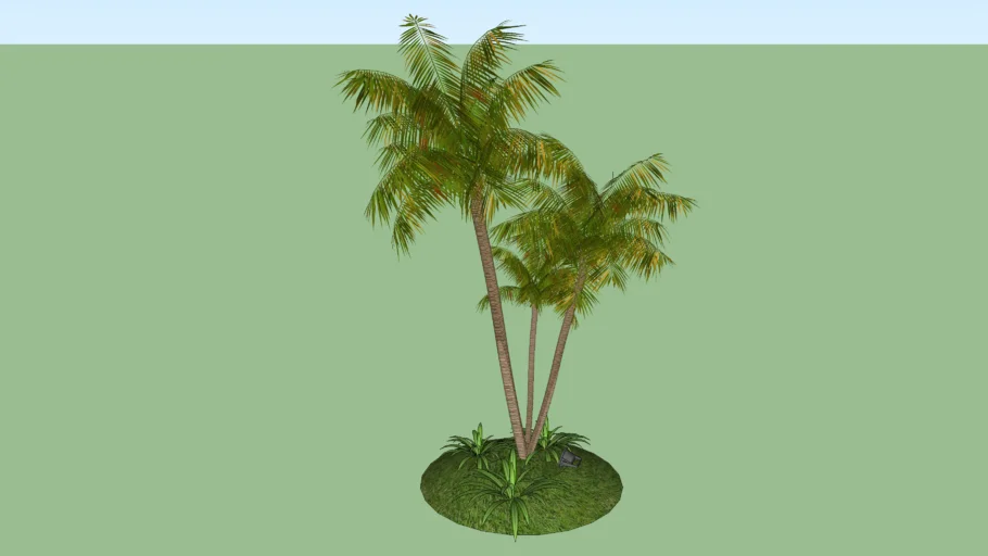 PALMERAS