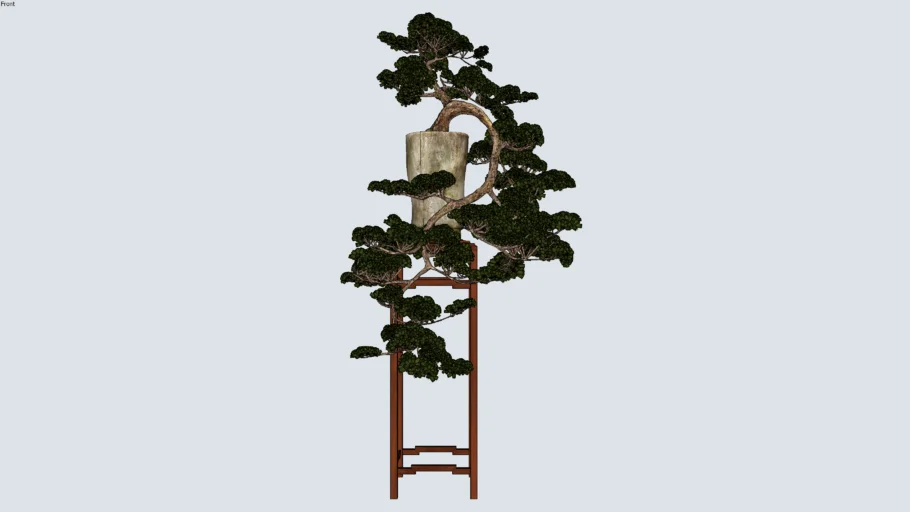 Bonsai