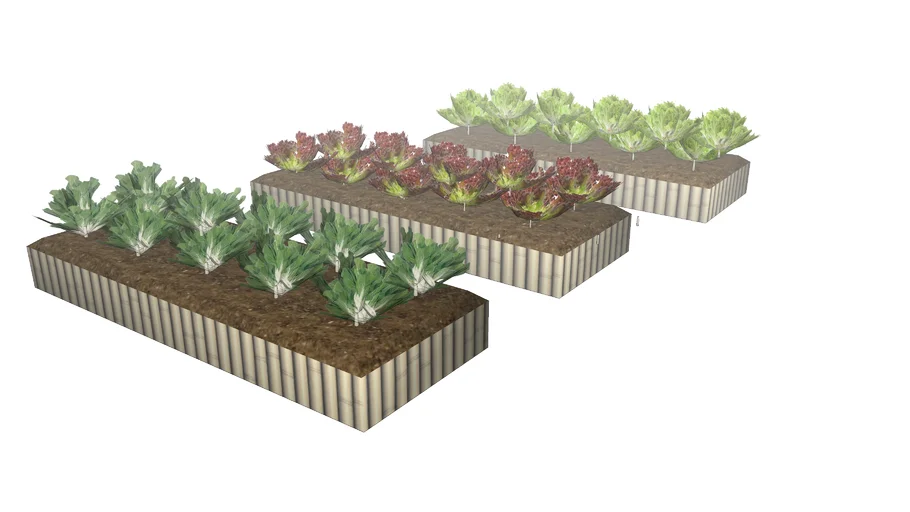 horta