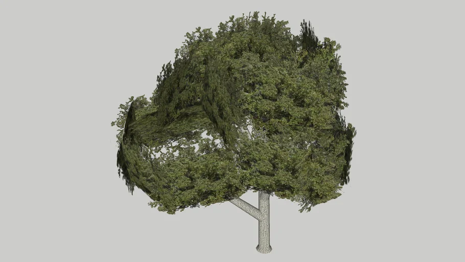 Arbre