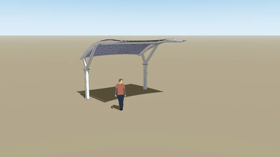 Cantilever Canopy