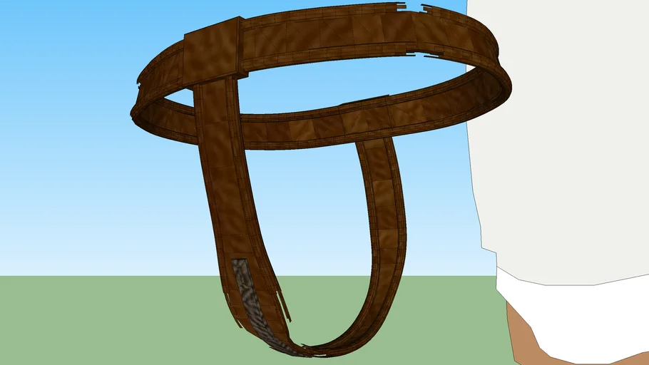 female chastity belt