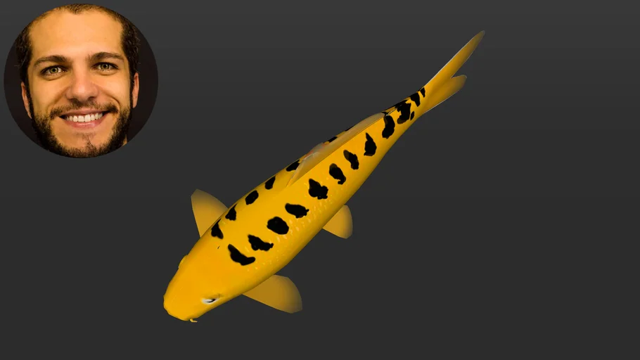 Carpa Koi Ogon Matsuba - Nishikigoi - Curso Desenho de Lagos com SketchUp
