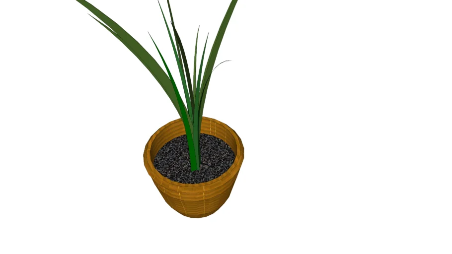 pot with plant