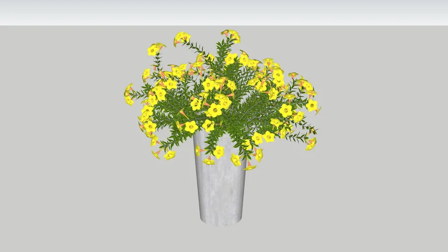ALAMANDA-AMARELA