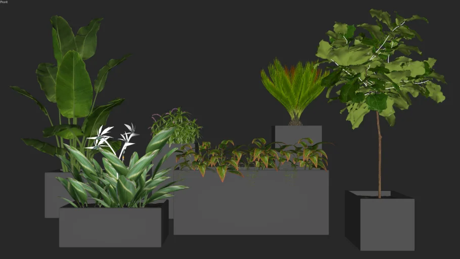 Vegetação - Kit de plantas no vaso 15
