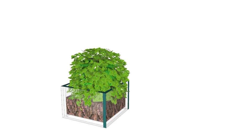 VASO VIDRO PLANTA