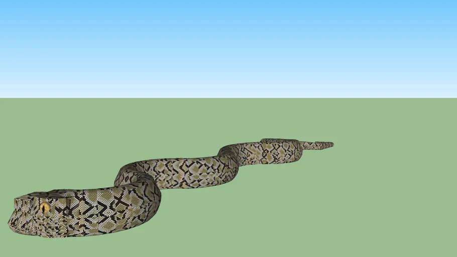 TITANOBOA