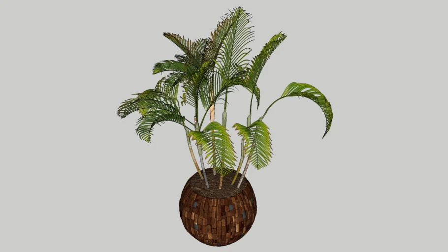 Pot Plant