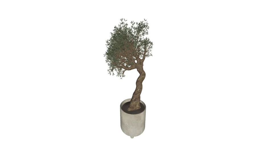 Tree / Bonsai set 101303228