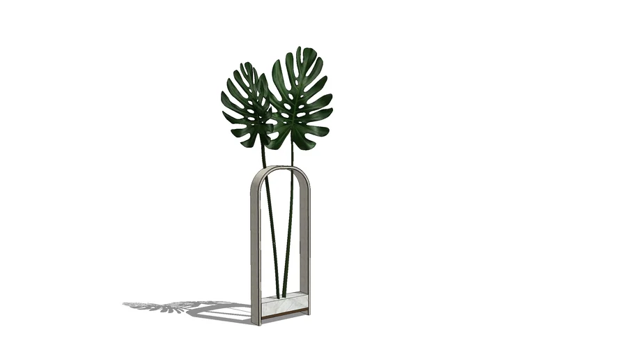 Vaso Minimalista com Costela de Adão