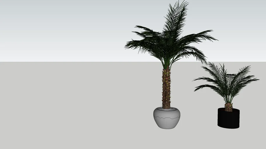 vaso piso palmeira fenix
