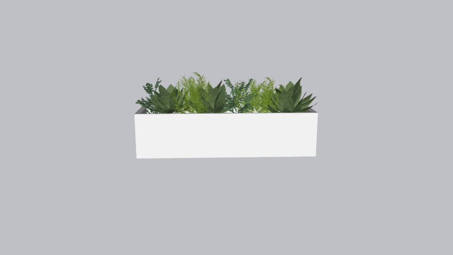 Jardinière Mexico Plantes grasses - Tanaman