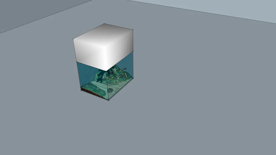 Modern Fish Tank