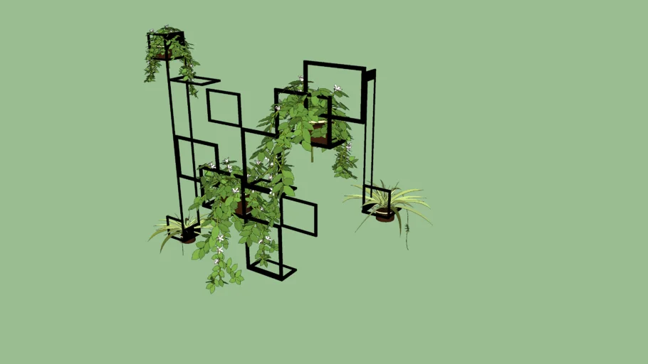 plants decoration wall