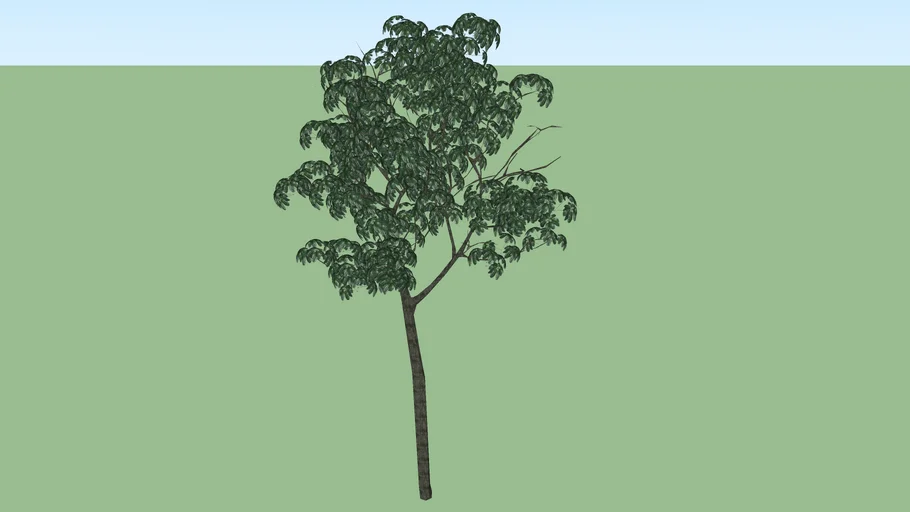 Vray Trees