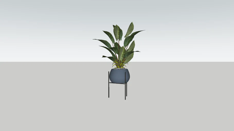 Indoor plant on stand
