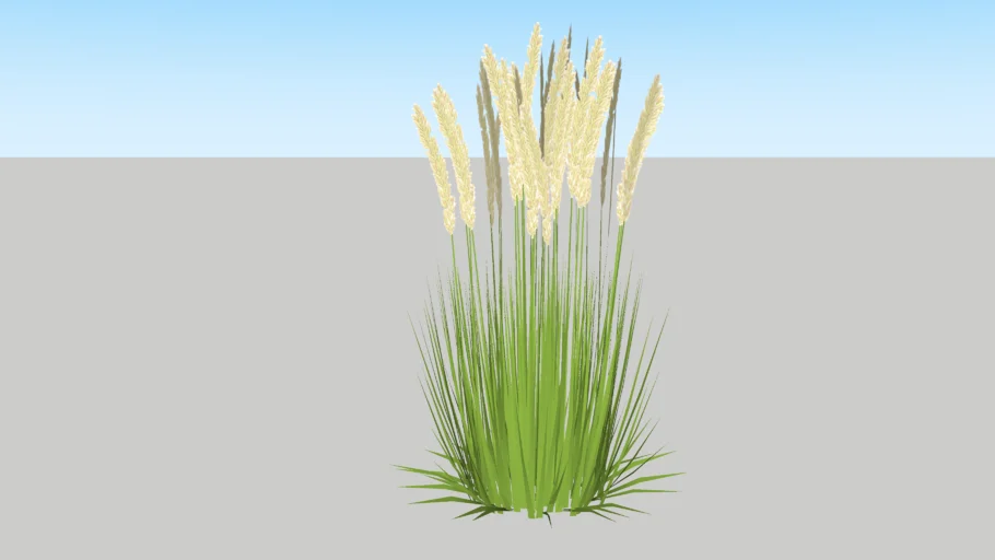 Vegetation