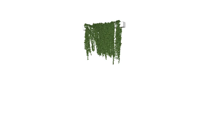 HANGING-PLANTS