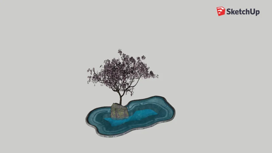 Pond