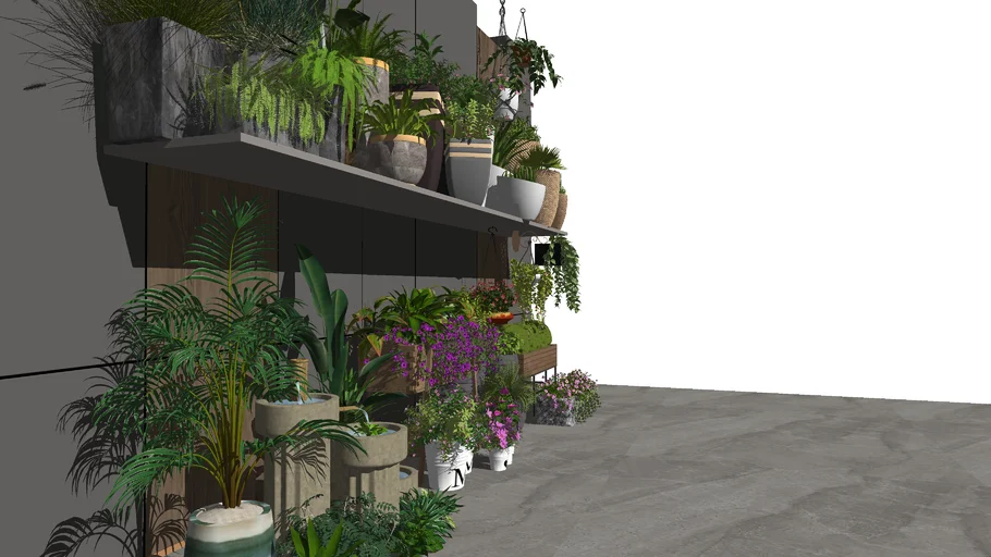 Interior Plant 7